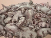 3_Kukkulan_kuningas_2018_Oil_and_acrylic_on_canvas_199x190cm